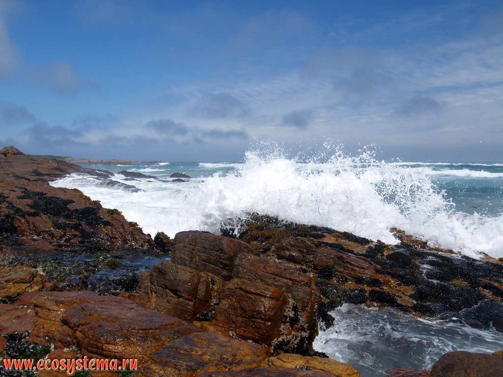The surf zone of the Atlantic Ocean on the Cape of Good Hope. South coast of South African Republic