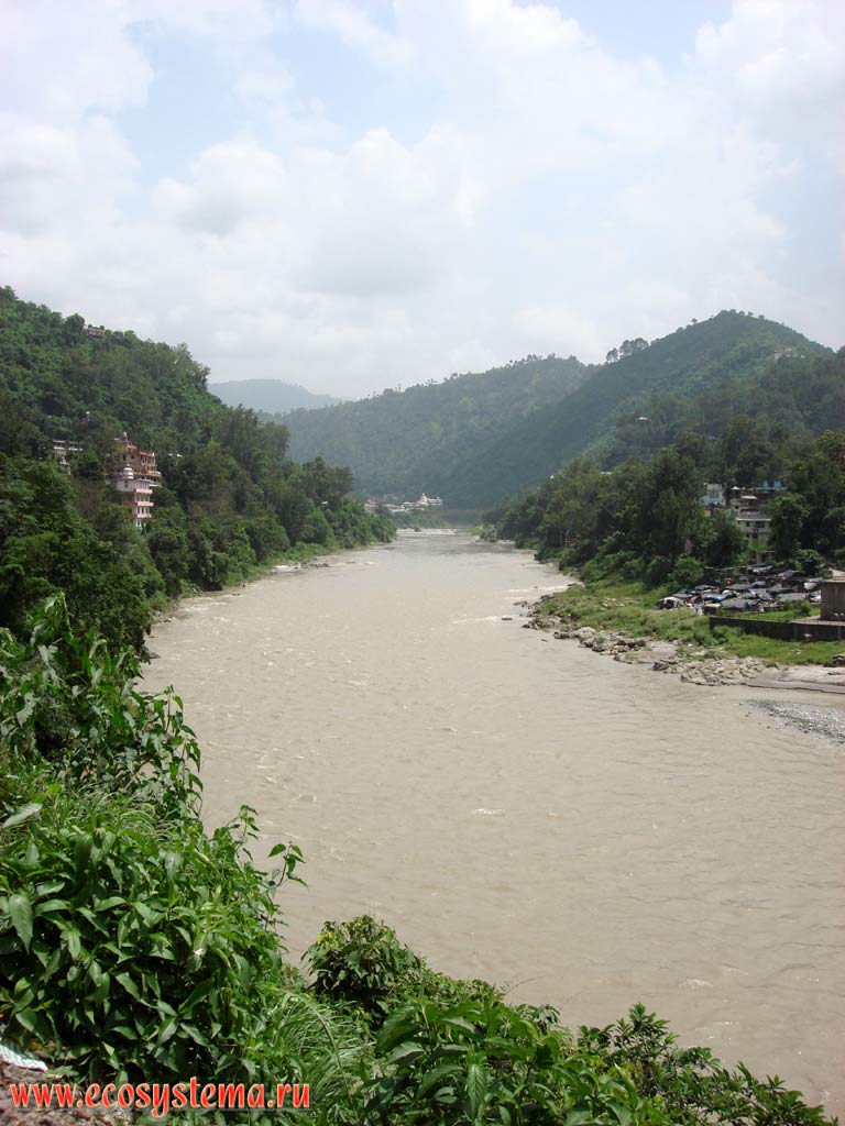 Beas River in the foothills of the Pir-Pandzhal ridge (Small Himalayas) near the town of Mandi, covered with mixed and light-coniferous (pine) forests. Himachal Pradesh, Northern India
