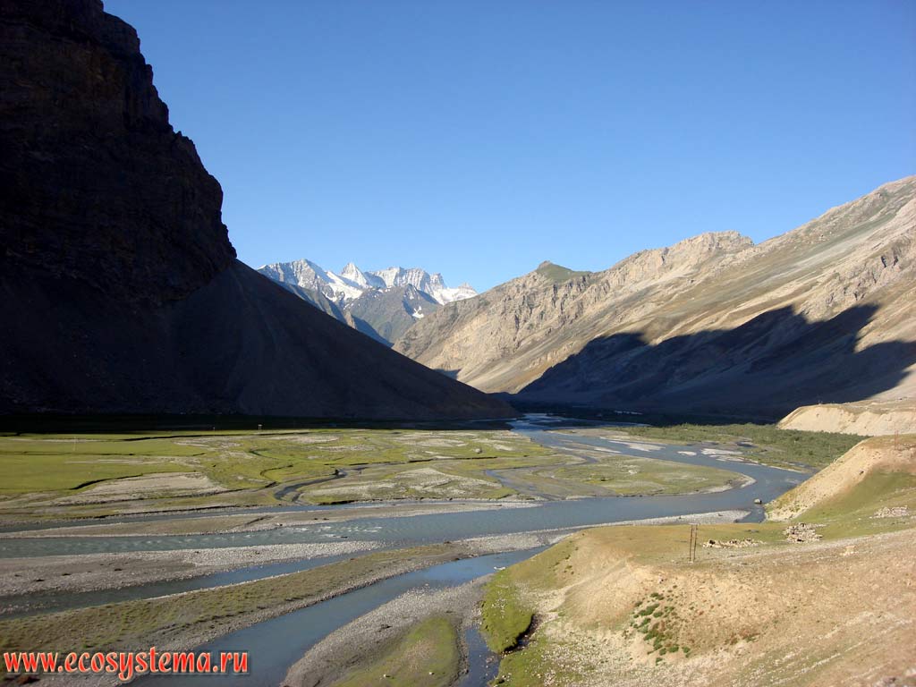 Meandering Drass riverbed, divided into branches with floodplain meadows in alluvial deposits. Great Himalayas Range Zaskar (Zanskar), altitude about 4500 m above sea level. Himachal Pradesh, Northern India