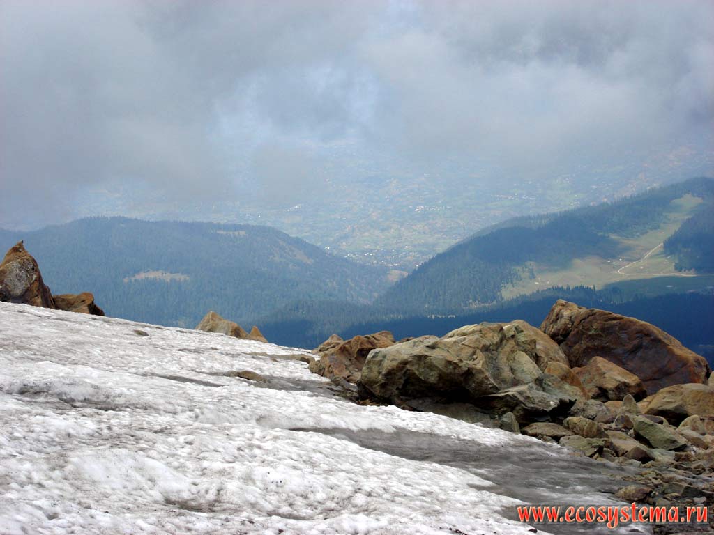 Ледник на хребте Пир-Панджал. Вид на высотный пояс темнохвойных лесов из нивального пояса. Малые Гималаи, недалеко от города Гульмарг, в 53 км от Сри-Нагара, штат Джамму и Кашмир, север Индии. Высота около 4100 м над уровнем моря.