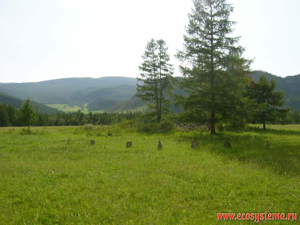 Rows of stone statues, or Kezer tash, leading to a small knoll surrounded by grass meadow steppe. Tract of Lower Sooru, Karakol Nature Park Uch-Enmek, Ongudansky District, Altai Republic