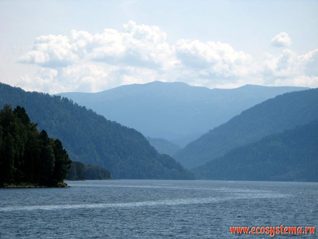 Teletskoe lake in a tectonic basin surrounded by mountains covered with dark-coniferous and mixed forests. The middle part of the lake, Turochaksky District, Altai Republic