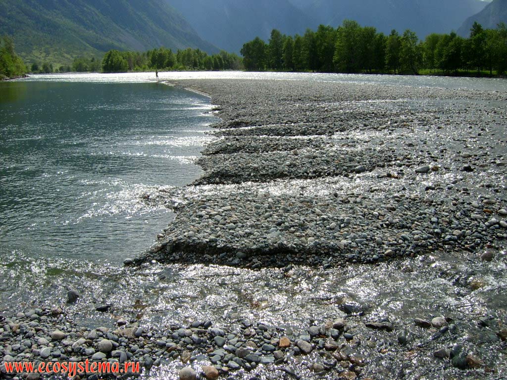 Rocky (gravel) spit that separates the bed of Chulyshman River on the sleeves. Chulyshman highlands, the middle reaches of the Chulyshman river, Ulagansky District, Altai Republic