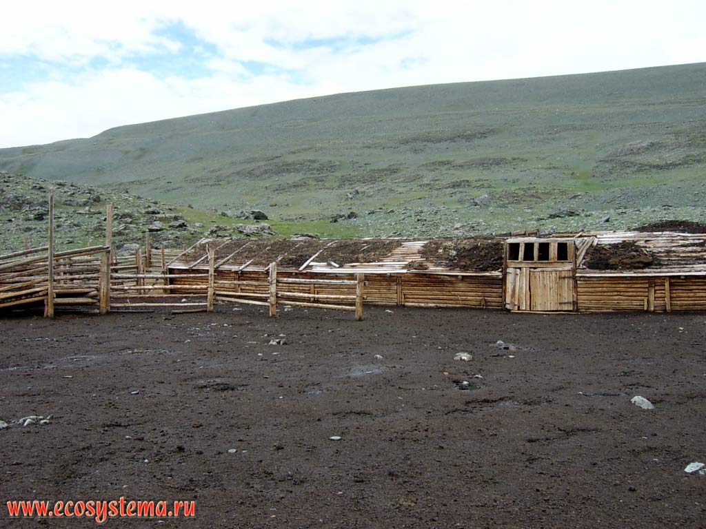 Fold (sheepfold), used in winter in the mountain steppes in the Elangash river valley. South-Eastern Altai, Kosh-Agach District, Altai Republic