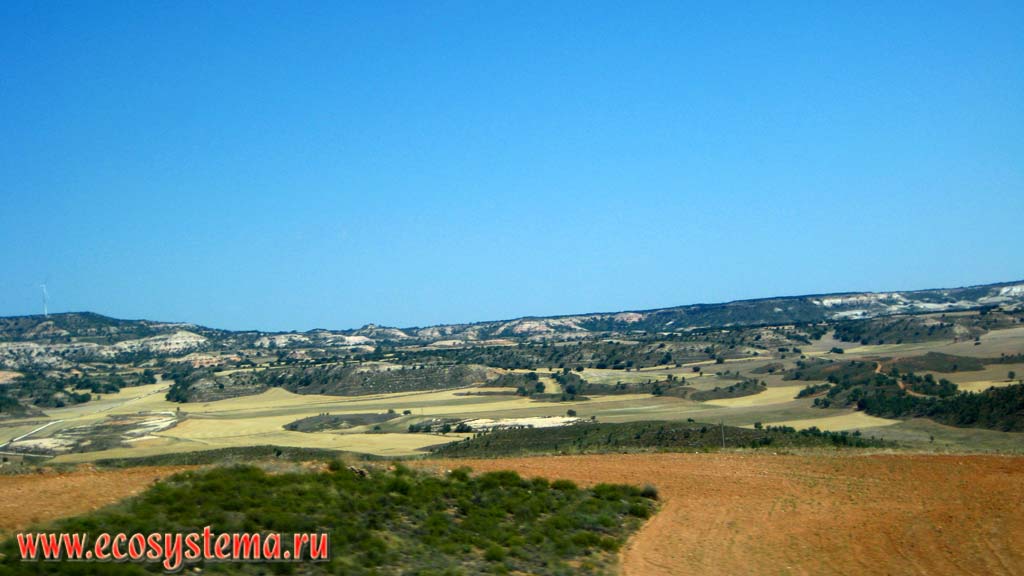 Typical landscape of the plateau Meseta with the remnants of deciduous forests, patches of dry steppes and farmlands. Iberian Peninsula, Central Spain
