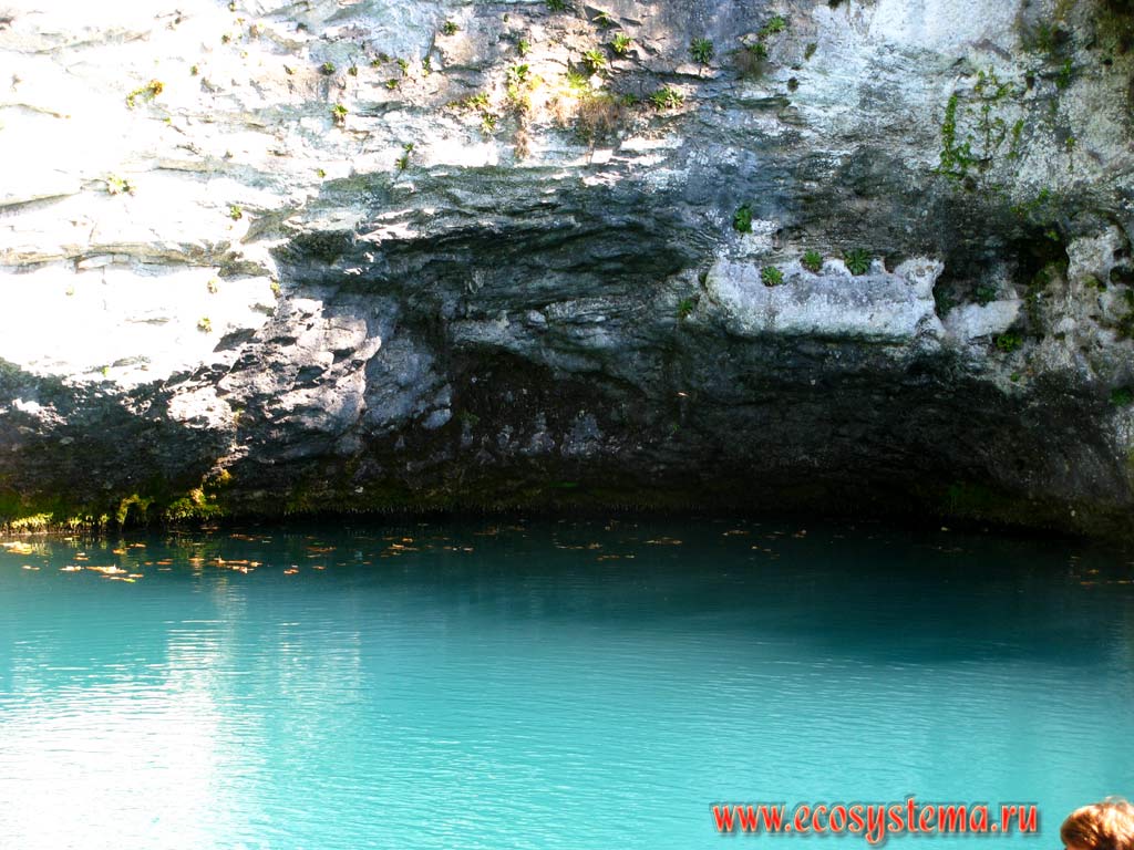 The blue waters of Riza lake with a high content of limestone and karst niches (caves) near the water's edge. Ritsinsky National Park, Western Caucasus, the Republic of Abkhazia