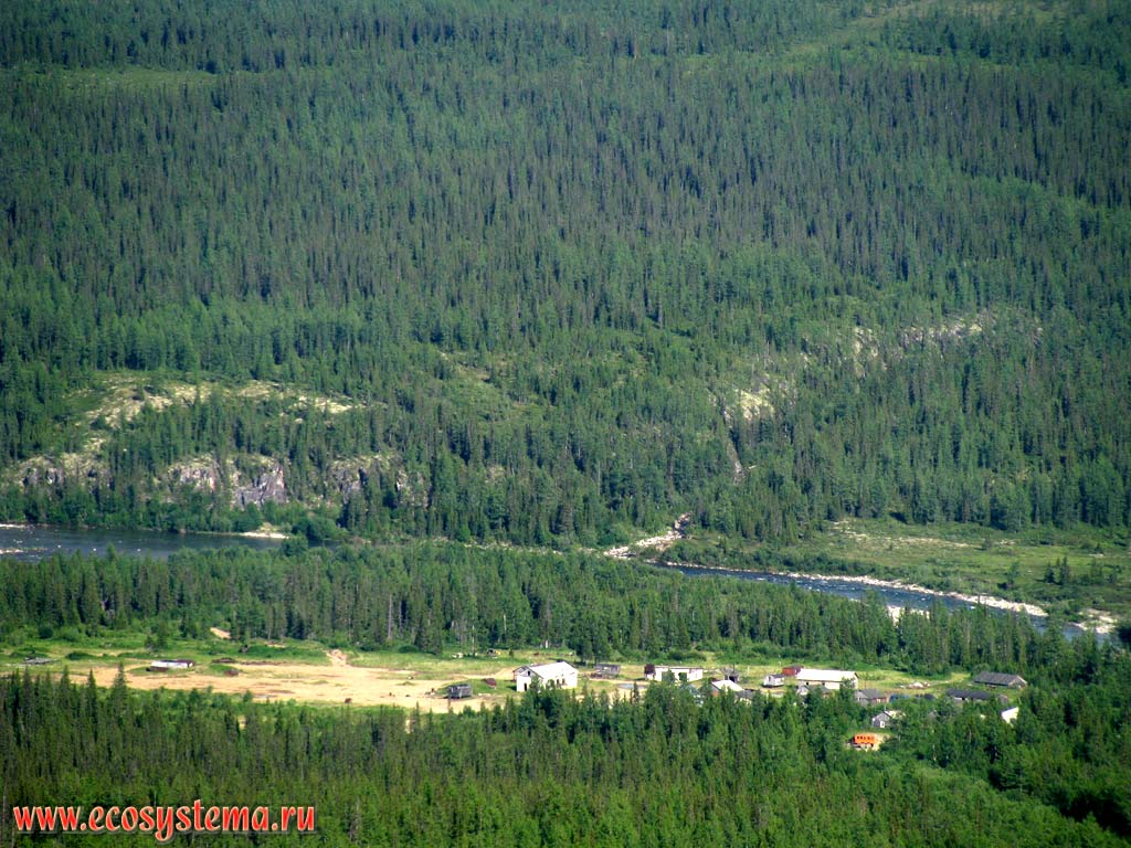 Mountain dark coniferous taiga with patches of larch in the mountain hollow (at an altitude of 500-700 m above sea level). Subpolar Urals, Yugyd-Va National Park, the Komi Republic