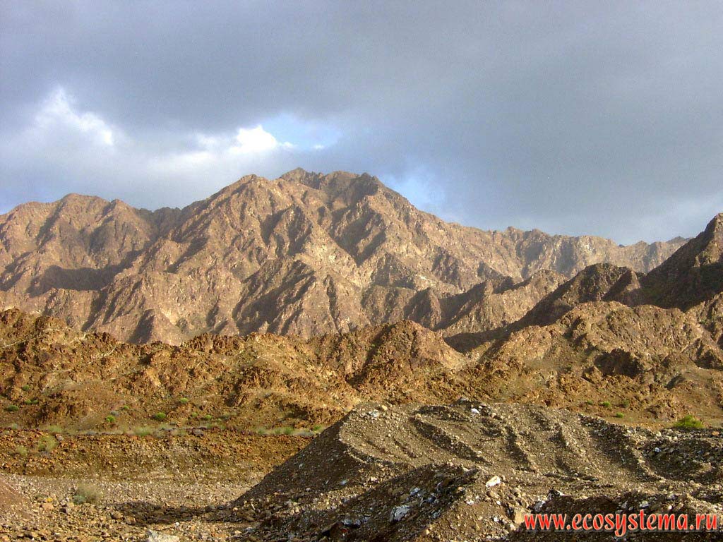 Горы (горная цепь) Ходжар, сложенные мезозойскими известняками. Аравийский полуостров, эмират Фуджейра (Fujairah),
Объединенные Арабские Эмираты (ОАЭ)