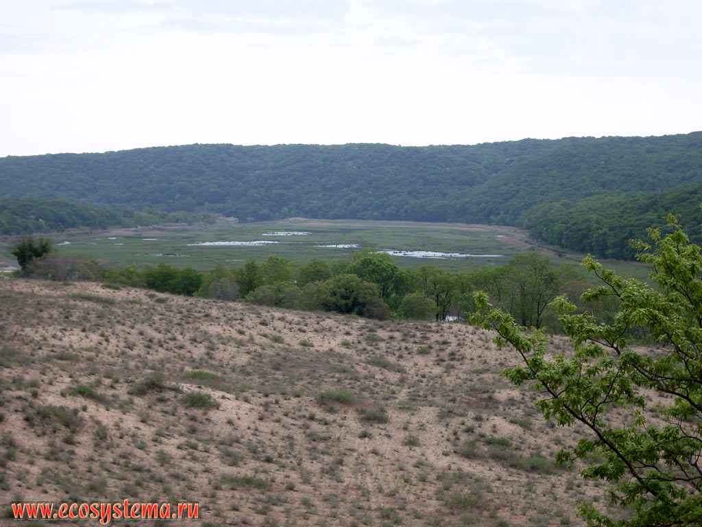 Долина реки Ропотамо и песчаные дюны в районе дельты на территории резервата Ропотамо
