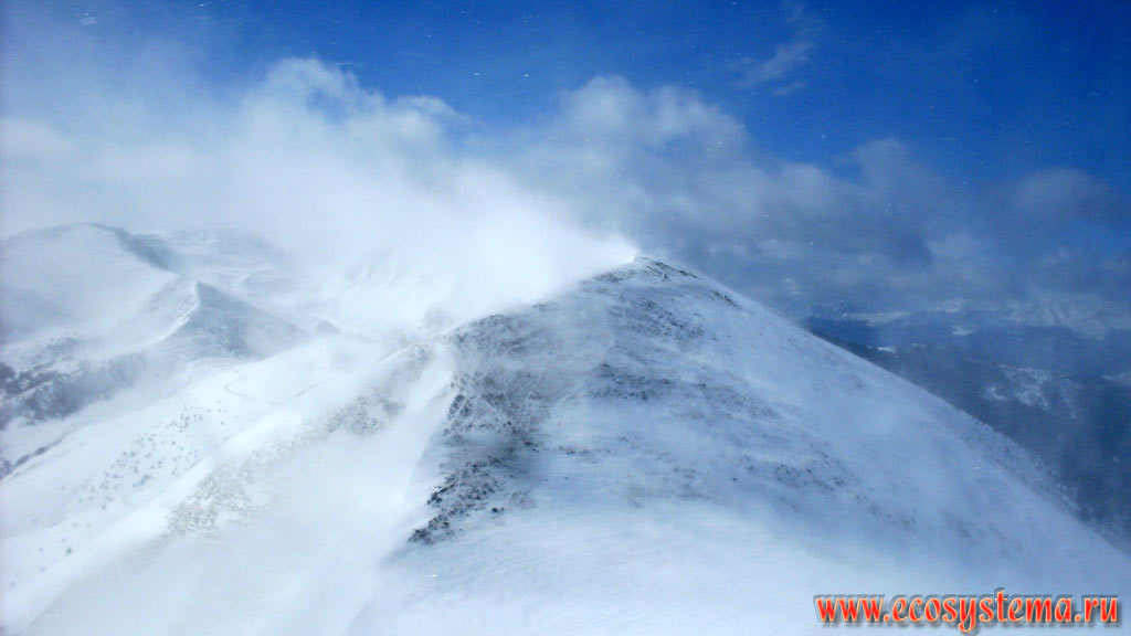 Снежная метель на вершинах Пиренейских гор, вызывающая позёмку на склонах в зоне субальпийских и альпийских лугов