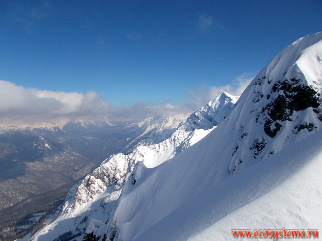 Альпийский пояс горной системы Западного Кавказа - зона субальпийских и альпийских лугов в верхней высотной части горного хребта Аибга