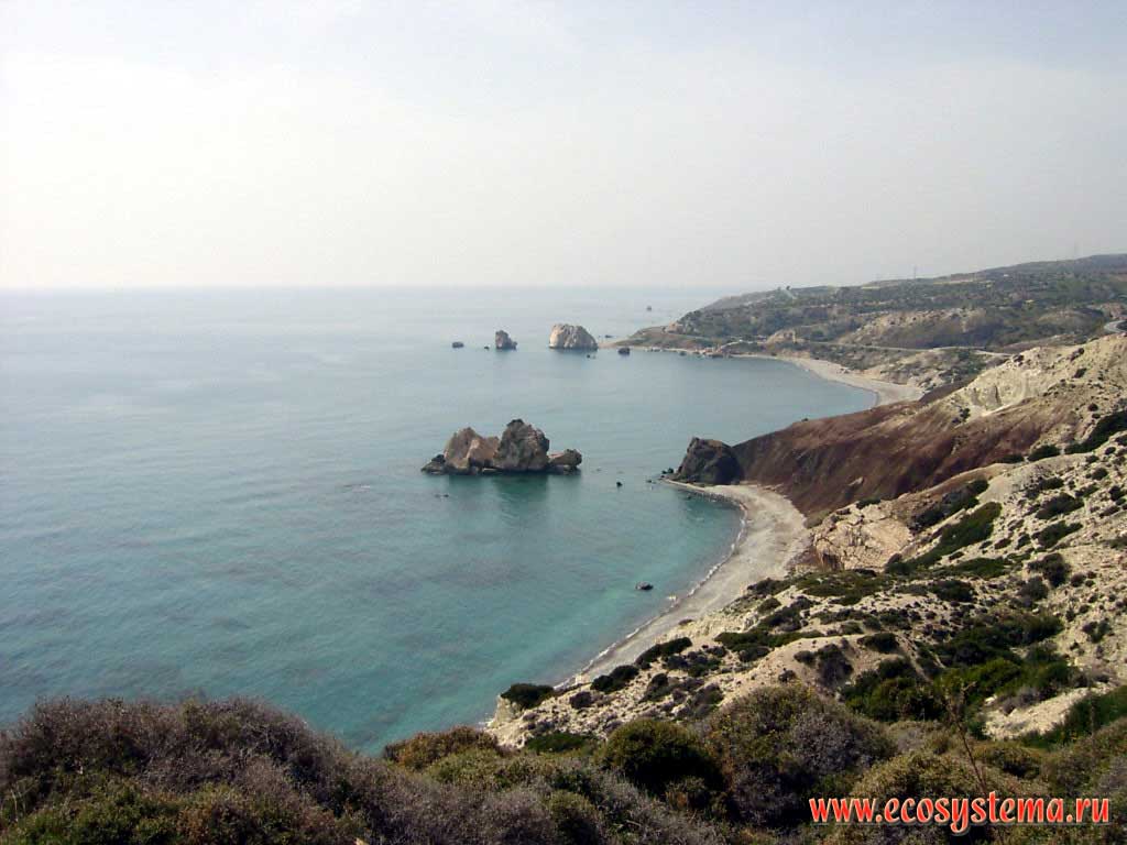 Mediterranean Sea. Afrodite's birthplace.