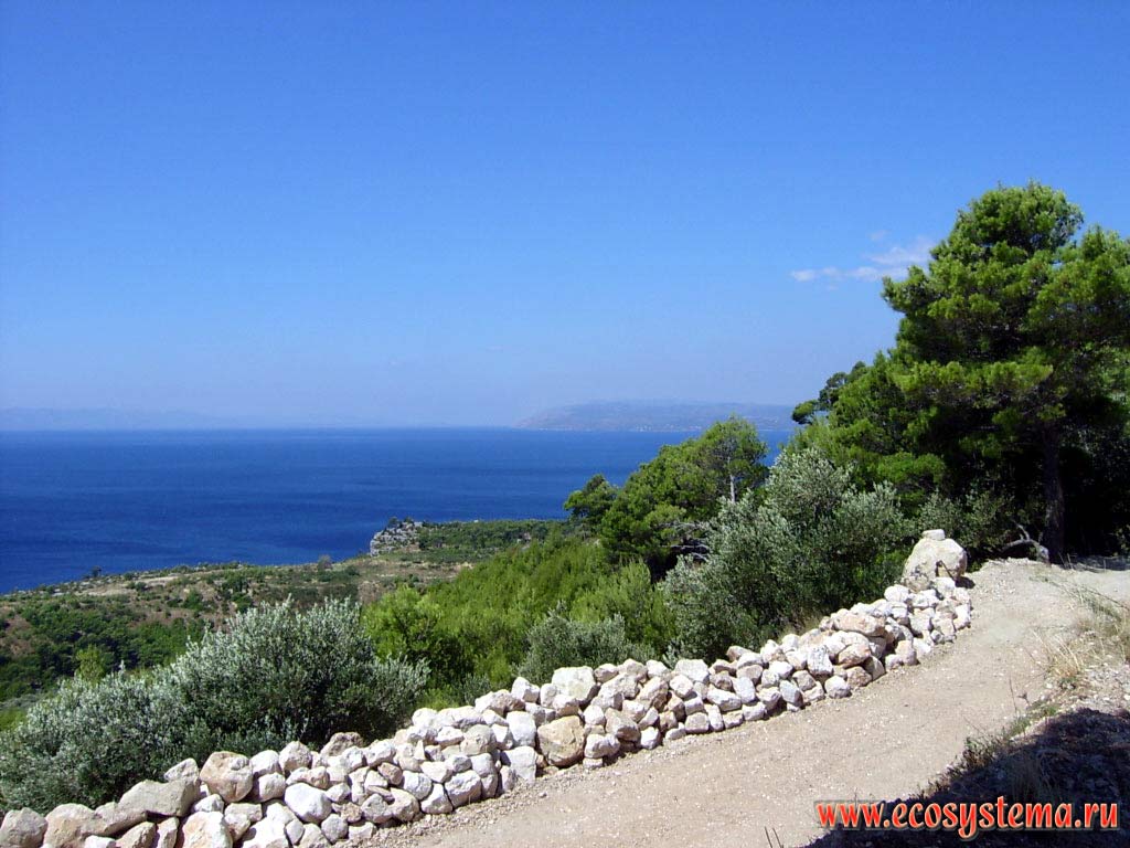 Foothills of the Biokovo mountains, Adriatic Sea and Brach island on the back