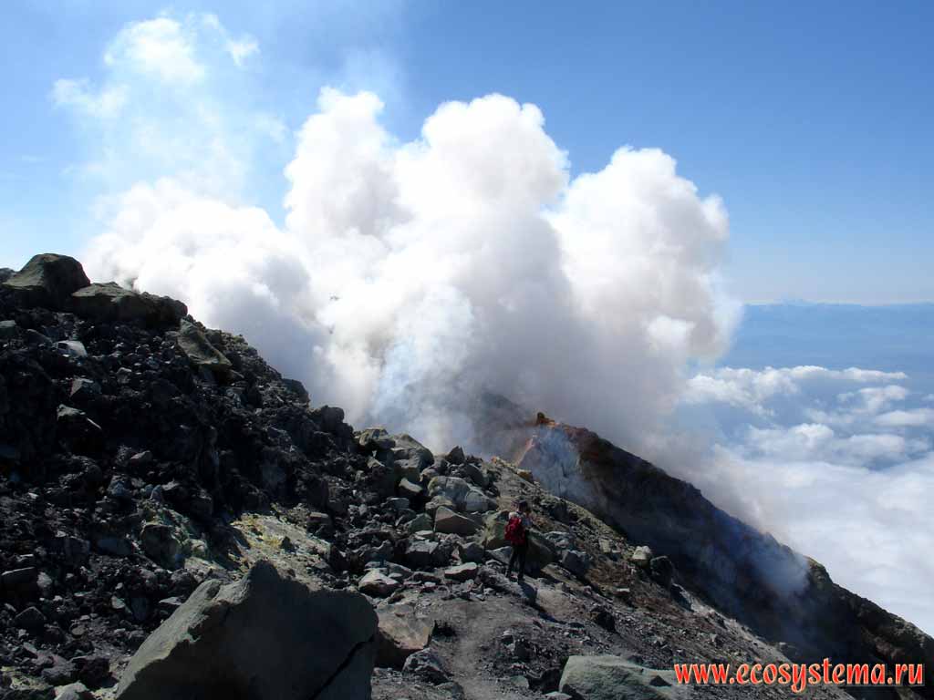 Fumarole vent (opening) on the volcano crater edge (altitude - 2740 meters above sea level)