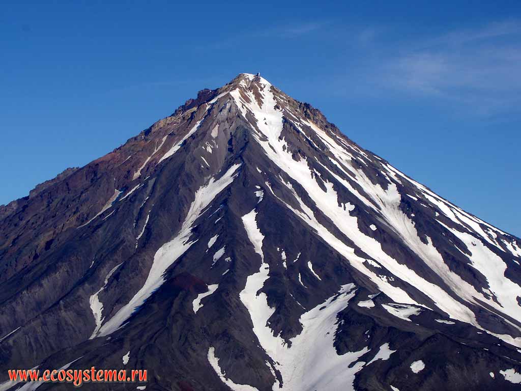 Вулкан Корякский (3456 м) и его барранкосы.
Вид с горы Верблюд (воротник, или сомма Авачи)