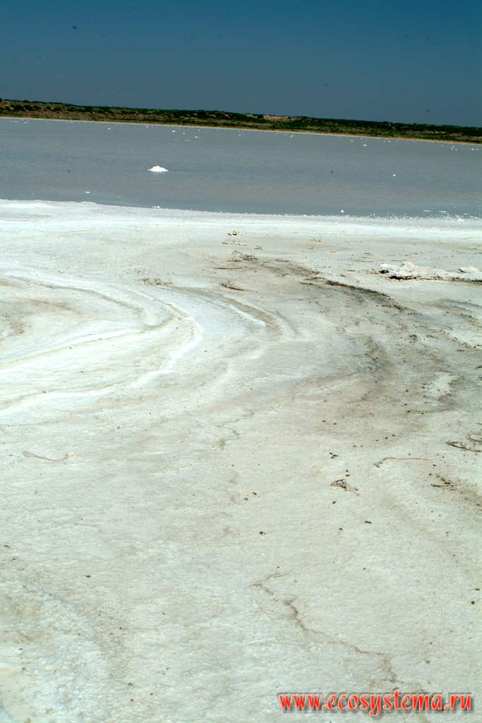 Соленое озеро (солончак) в полупустыне. На переднем плане - отложения поваренной соли.
Зона степей и пустынь предгорий Кордильер Юго-запада США, штат Нью-Мексико