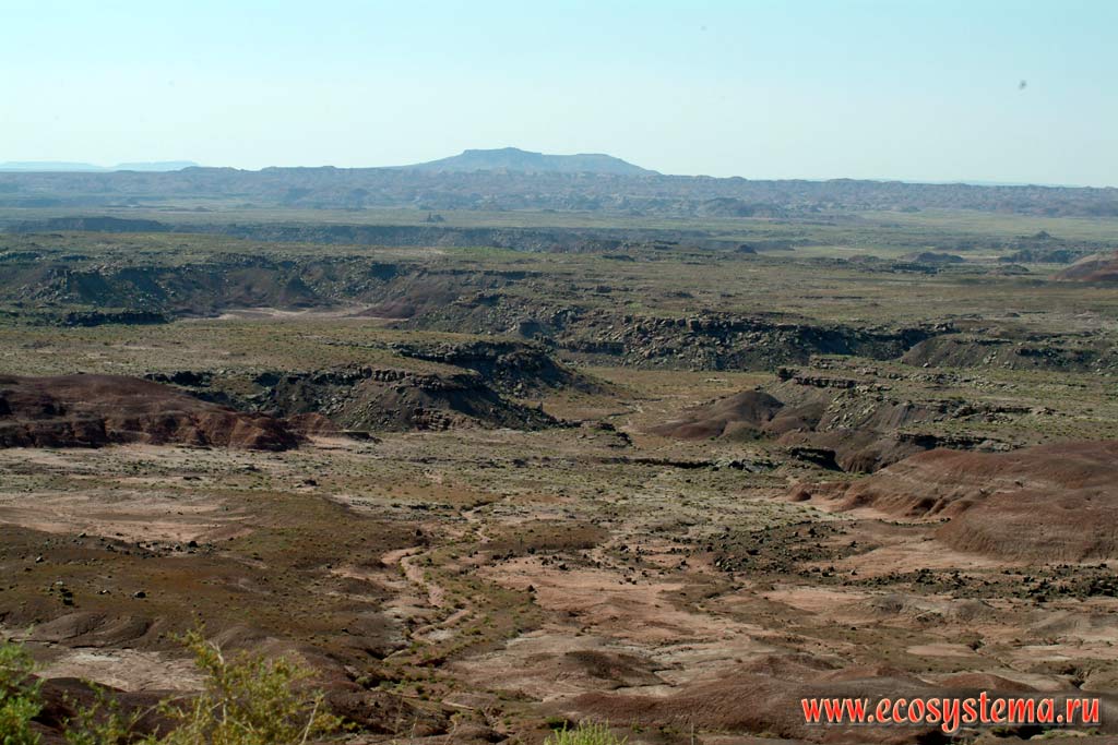 Desert landscape in the Painted Desert National park